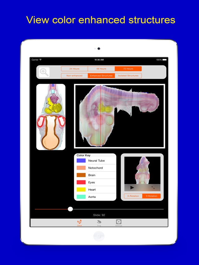 Dimensional Embryology(圖2)-速報App