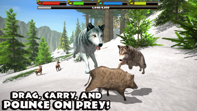 Ultimate Wolf Simulator screenshot1