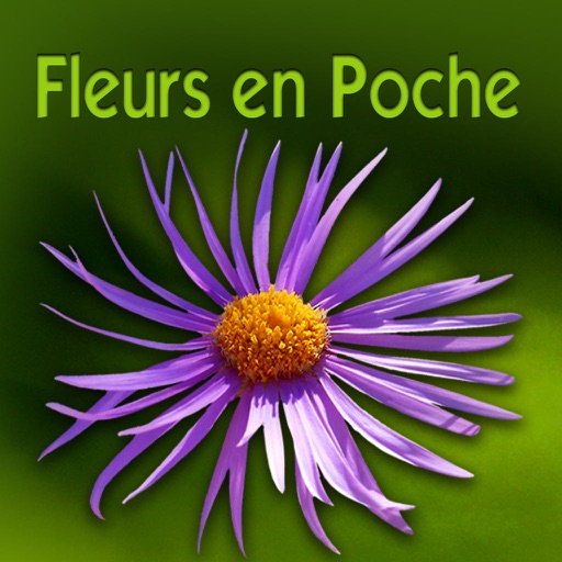 Wild Flowers HD