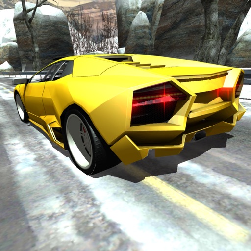 Super Car Rally Winter PRO