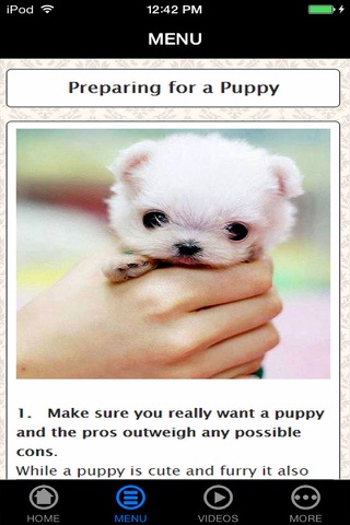 How To Buy A Puppy - Beginner's Guide screenshot 2