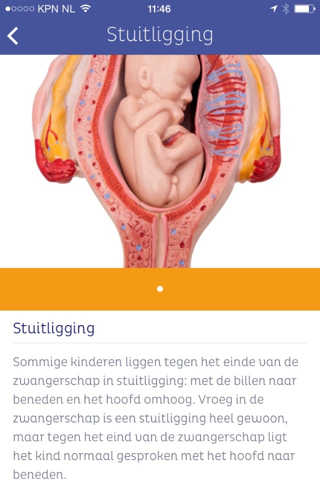 ZwApp - unieke zwangeren app! screenshot 4