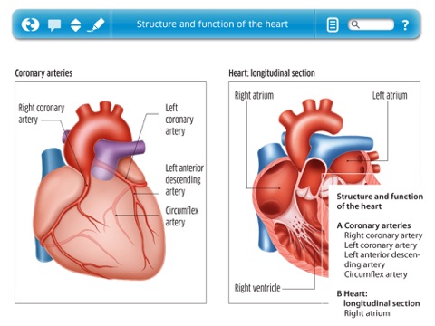 Cardiology by PEI screenshot 2