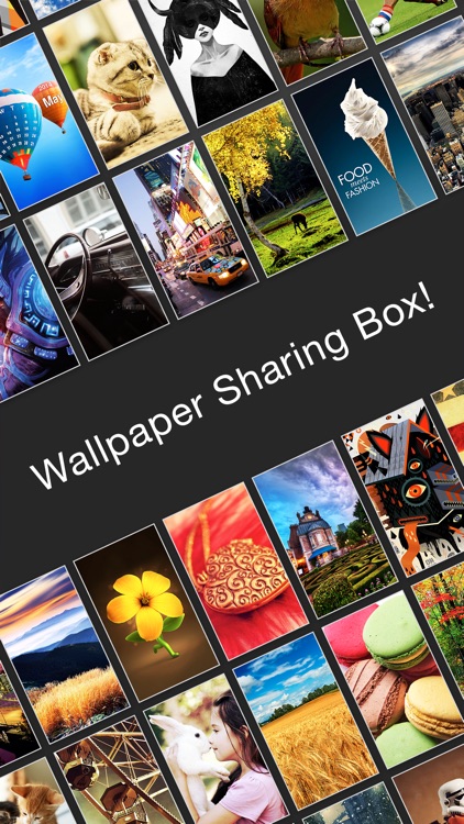 Wallpapers℗