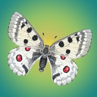 Tagaktive Schmetterlinge pour PC