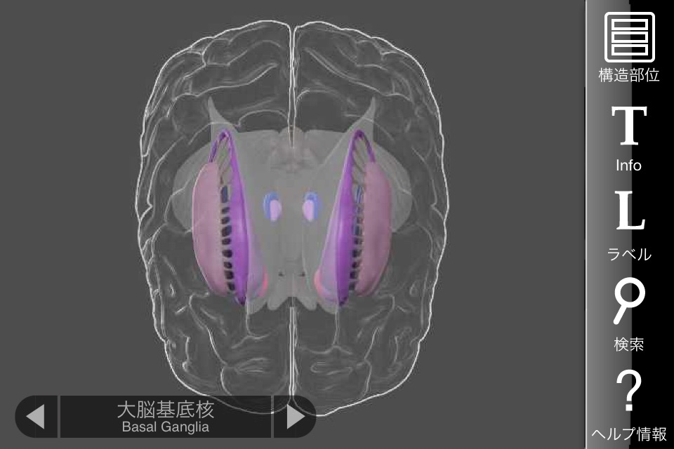 3D Brain screenshot 2