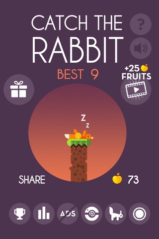 Catch The Rabbit - náhled