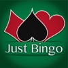 JUST BINGO - Play Online Casino and Number Card Game for FREE !