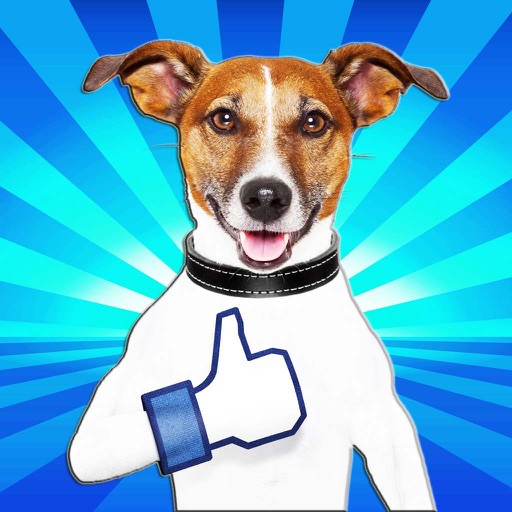 Tweet and Share with Buddy Pictures icon