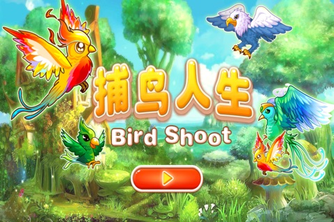 Birds Shoot screenshot 2