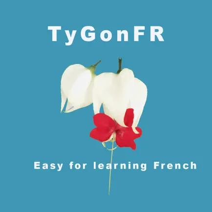 TyGonFR - French Listen Practice Free Читы