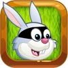 Robber Rabbit Run