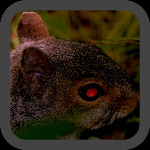 Extermination Squad: Squirrel Shooter iOS App
