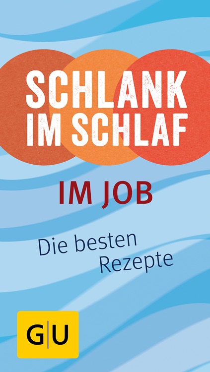 Schlank im Schlaf Im Job - Die original Rezepte