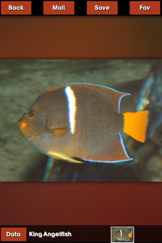 Fish Encyclopedia Pro HD screenshot 4