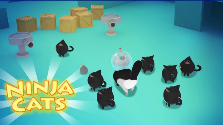 Ninja Cats Game screenshot-3