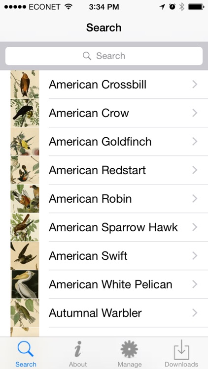 BirdArt - Birds of America Edition