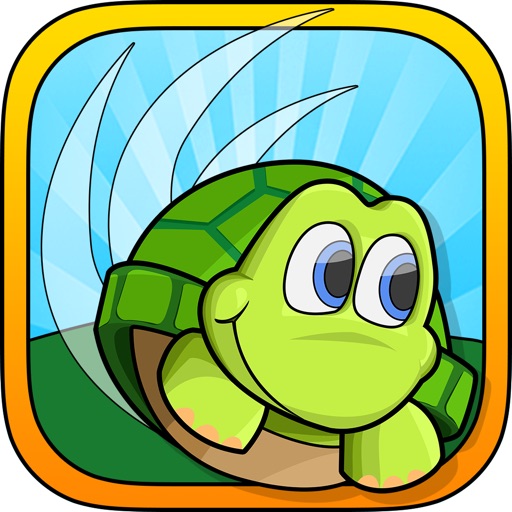 turtle tumble