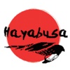 Hayabusa: The Challenge
