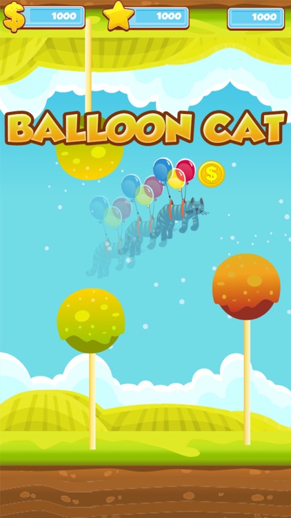 BalloonCat in Wonderland