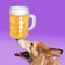 With the help of Alco Dog you can keep track of what you drink at a night out and stay fresh the day after