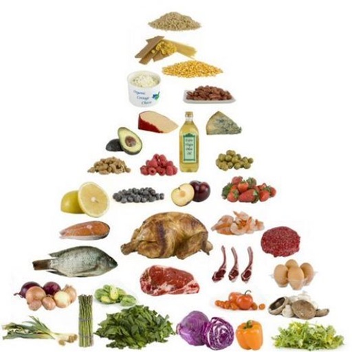 Ketogenic Diet - Ultimate Diet Guide icon