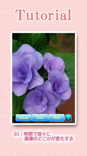 Landscapes of the flower(圖2)-速報App