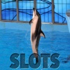 White Side Of The Pacific Dolphin Slots - FREE Edition King of Las Vegas Casino