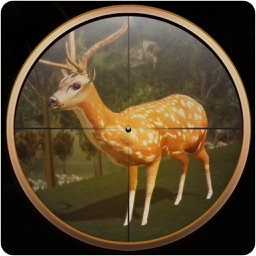 Deer Hunting Sniper Shooter 3D