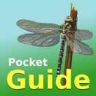 Top 30 Reference Apps Like Pocket Guide UK Dragonflies - Best Alternatives