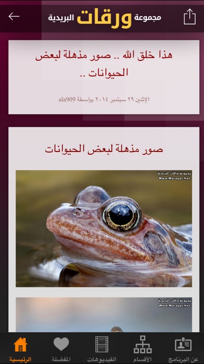 مجموعة ورقات