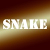 Snake - Difficult Game