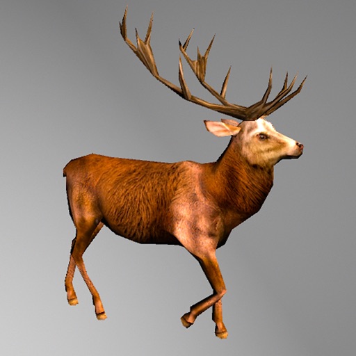Deer Hunting Adventure Sniping Icon