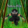 Ninja 2015