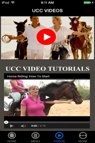Learn How To Horse-Back Riding - Best Stallion Riding Experience Guide For Advanced & Beginners screenshot 3