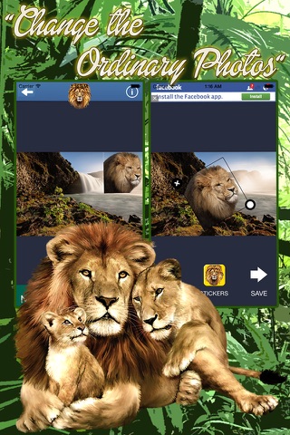 Lion Sticker App screenshot 2