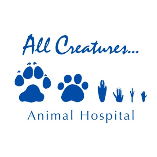 All Creatures Animal Hosp