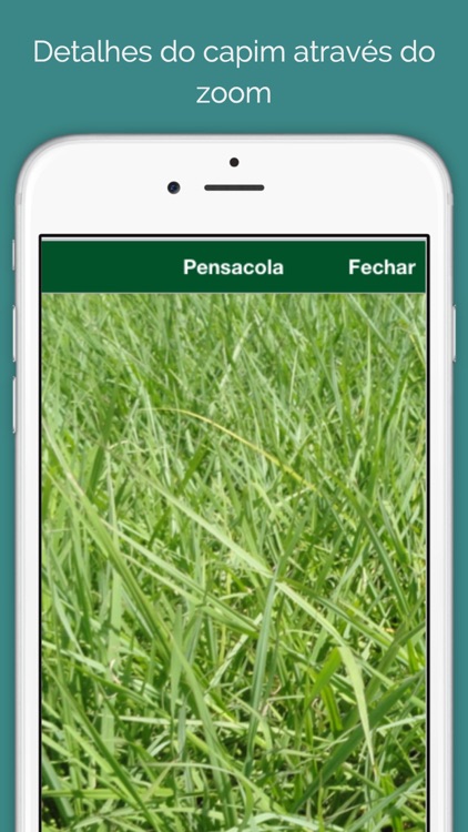 Capins - Catalog of Grass screenshot-4