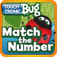 Activities of Match The Number Bug