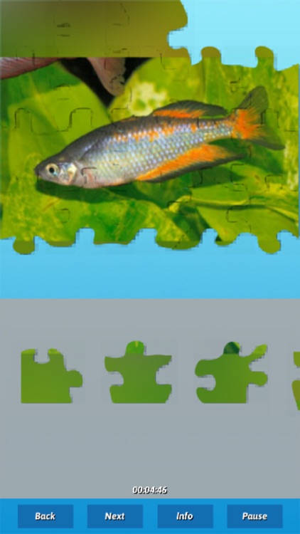 Fish Puzzles