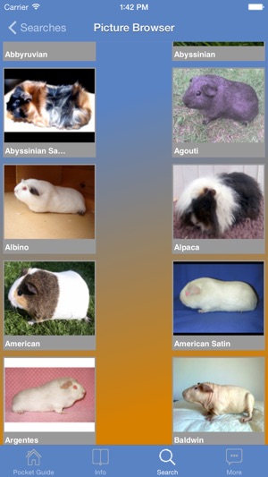 Pocket Guide Guinea Pigs(圖2)-速報App