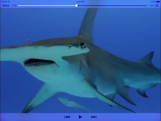 【图】Sea Life Videos – 探索海洋及海洋生物，儿童影片(截图3)