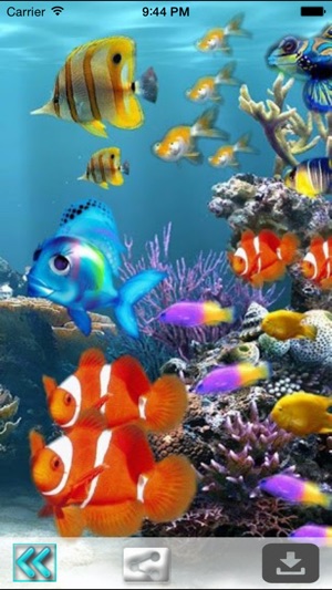 Aquarium Wallpapers-Fish Walls(圖4)-速報App