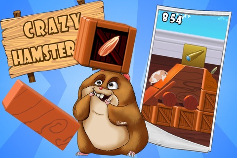 Crazy Hamster Run screenshot 2