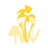 Daffodil Mutator