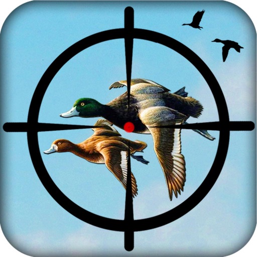 Duck Hunting Season: Open Season