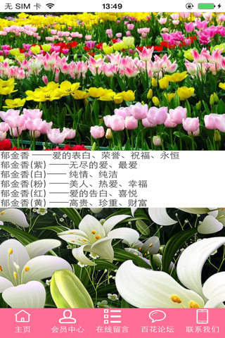 云南鲜花供应商 screenshot 2