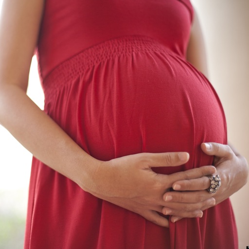 Pregnancy Guide - All About Pregnancy