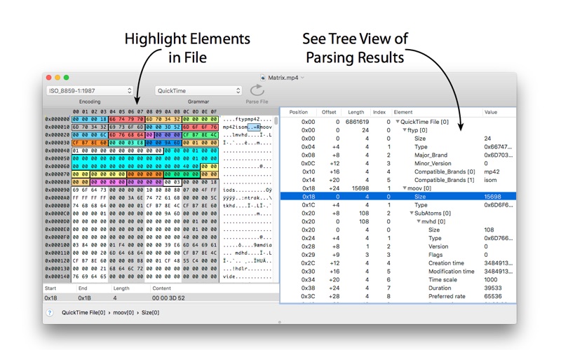 synalyze it set length to byte