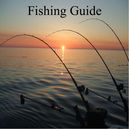 Fishing Guide - Ultimate Video Guide